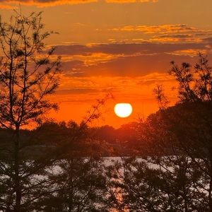 Meet your Posher, Penny